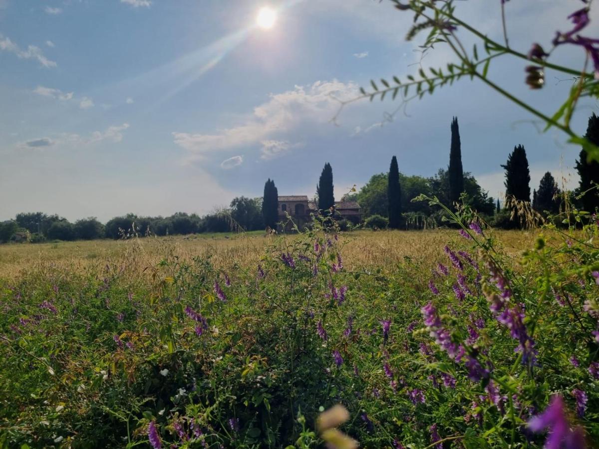 Casa Maira In Centro A Saturnia Villa Bagian luar foto